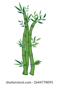 Isolated green bamboo plant vector illustration. Natural stalks with leaves, ideal for Asian themes, nature designs, or eco-friendly projects. Clean, organic graphic on white.