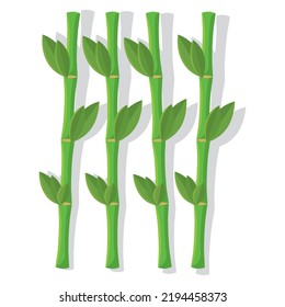 Isolated green bamboo spa vector illustration