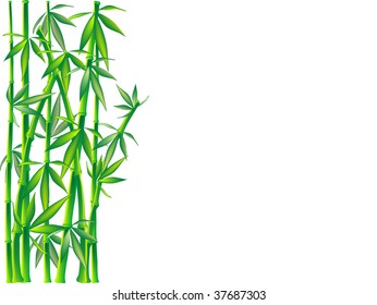 Isolated green bamboo - vector illustration