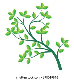 Isolated Green branch and leaf with flat design. vector illustration. 