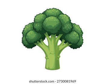 Ilustración vectorial de brócoli verde aislada sobre fondo blanco