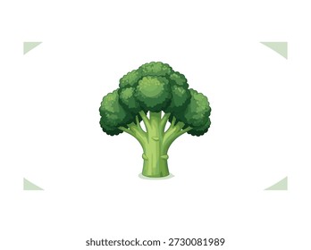 Ilustración vegetal de brócoli verde aislado sobre fondo blanco
