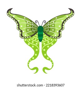 Isolated green butterfly vector illustration