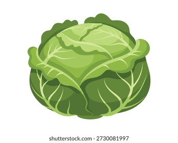 Ilustración de cabeza de repollo verde aislada sobre fondo blanco