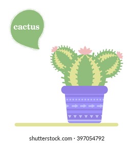 Isolated green cactus icon in a pot. Desert plant. Vector cartoon illustration