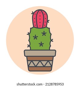 Isolated green cactus on a colored circle frame Vector