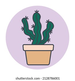Isolated green cactus on a colored circle frame Vector