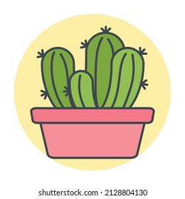 Isolated green cactus on a colored circle frame Vector