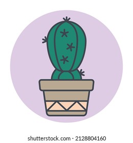 Isolated green cactus on a colored circle frame Vector