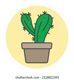 Isolated green cactus on a colored circle frame Vector
