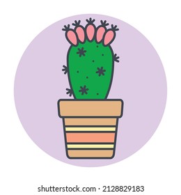 Isolated green cactus on a colored circle frame Vector