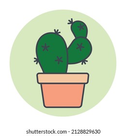 Isolated green cactus on a colored circle frame Vector