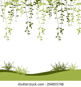 isolated green climber leaf and grass vector for spring background