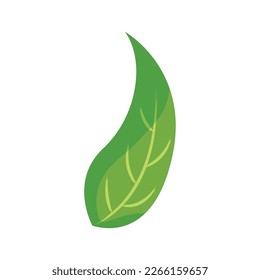 Isolierte grüne Blattsymbol