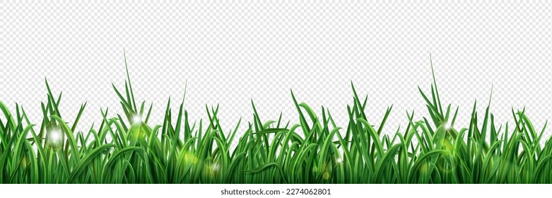 Isolated green grass lawn border with sun light vector illustration. Realistic spring field footer line. Summer eco line game fluffy texture pattern. Frame row with sunshine and bokeh overlay.