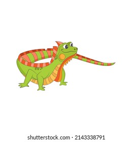 Isolated green iguana animated animals jungle vector illustration
