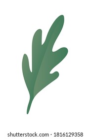 Isolated green leaf design of Natural floral nature and plant theme Vector illustration
