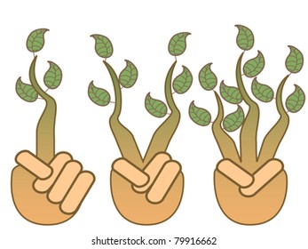 isolated green leaf growing from hands on white background