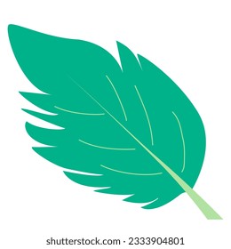 Isolated green leaf icon on a white background, Vector illustration for nature and still object design element
