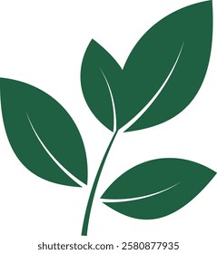 Isolated green leaf in minimalistic style