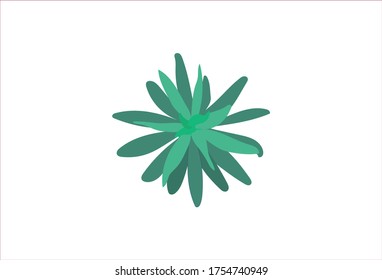 Hoja verde aislada sobre fondo blanco