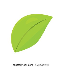 Isolated green leaf over a white background - Vector
