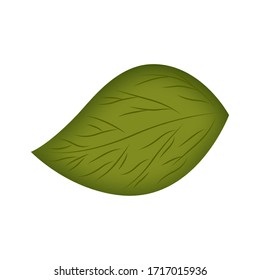 Isolated green leaf over a white background - Vector