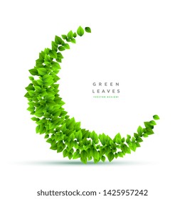 isolated green leaves floating background