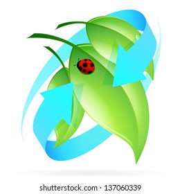 Isolated Green Leaves Icon with Ladybug and Blue Arrows