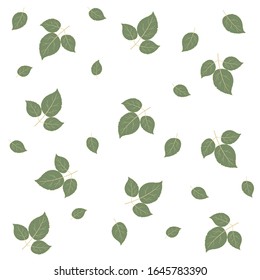 Einzeln grüne Blätter Muster auf weißem Hintergrund, nahtlos, Vektorillustration