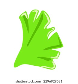 Hojas de lechuga verde aisladas sobre un fondo blanco. El concepto de una dieta saludable. Nutritsiología. Ilustración vectorial.