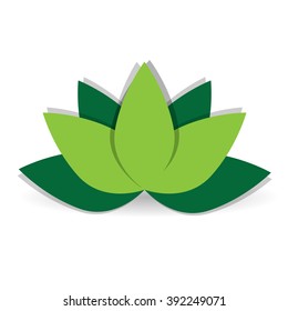Isolated green lotus flower on a white background