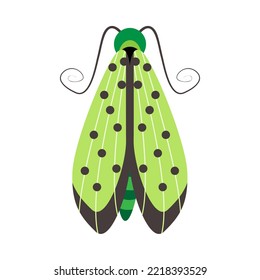 Isolated green moth vector illustration