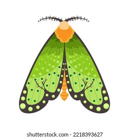 Isolated green moth vector illustration