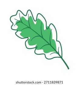 Diseño de Vector de hoja de roble verde aislado. Icono de las hojas para el fondo, el Fondo de pantalla, la materia textil de la tela, el diseño del diseño web, el papel de embalaje y el logotipo.