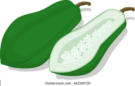 Isolated green papaya on transparent background

