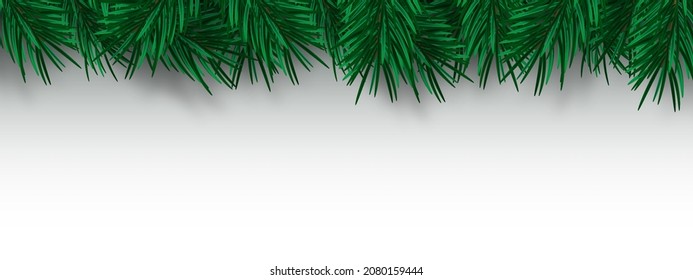 Isolated green realistic spruce or pine branches on white background. Decorative christmas tree branches. Vector illustration