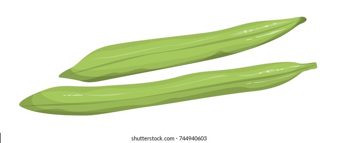 Isolated green runner beans on white background.