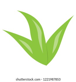 Isolated green seaweed image. Vector illustration design