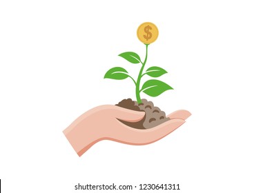 Isolated green sprout with coins money flower growing in hand