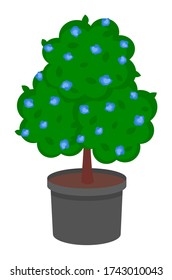 Isolated green tree growing in pot with soil. Tree with violet flowers isolated at white background. Growing decorative tree with soil raster. Decoration for garden, home. Icon for website, mobile app