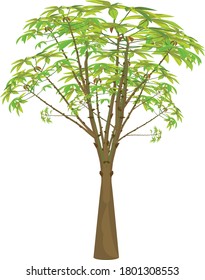 isolated green tree on white background vector design