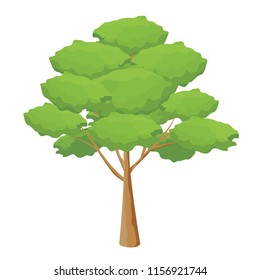 isolated green tree vector design