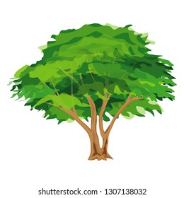 isolated green tree vector design