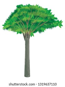 isolated green tree vector design