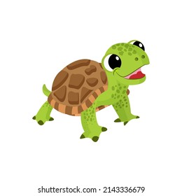 Isolated Green Turtle Animated Animals Jungle Vector Illustration