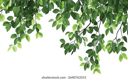Isolated greenery tree branch leafs, lush green leaves, tropical plant leaves foreground, vibrant jungle foliage, nature backdrop, tropical rainforest leaves, lush nature background