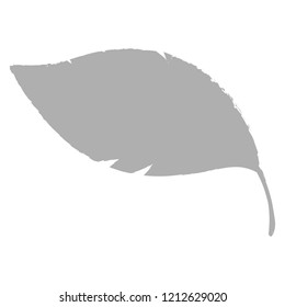 Isolated grey feather icon. Vector illustration design