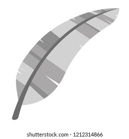 Isolated grey feather image. Vector illustration design