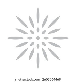 Isolated grey firework effect icon Vector